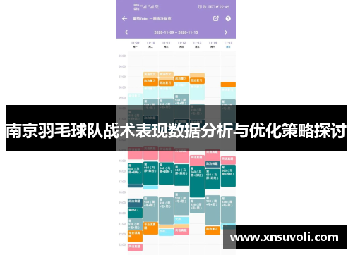 南京羽毛球队战术表现数据分析与优化策略探讨