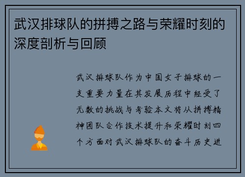 武汉排球队的拼搏之路与荣耀时刻的深度剖析与回顾