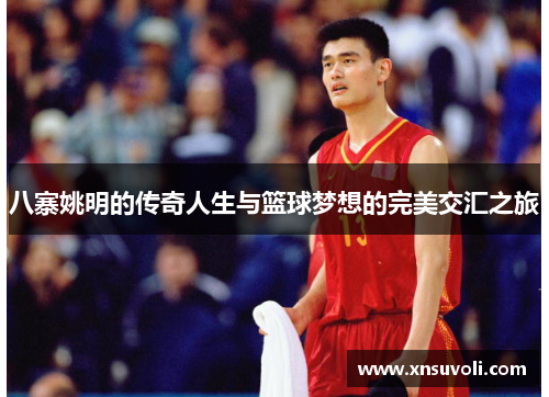 八寨姚明的传奇人生与篮球梦想的完美交汇之旅