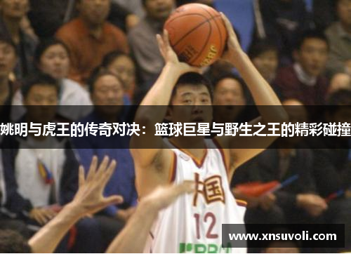 姚明与虎王的传奇对决：篮球巨星与野生之王的精彩碰撞